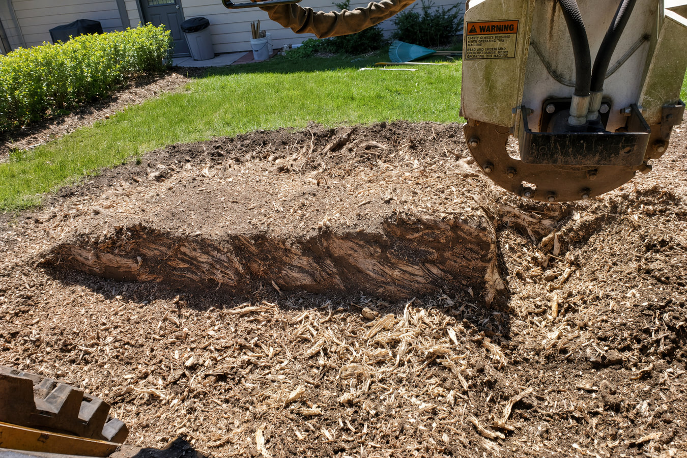 Stump grinding in Beaumont, CA